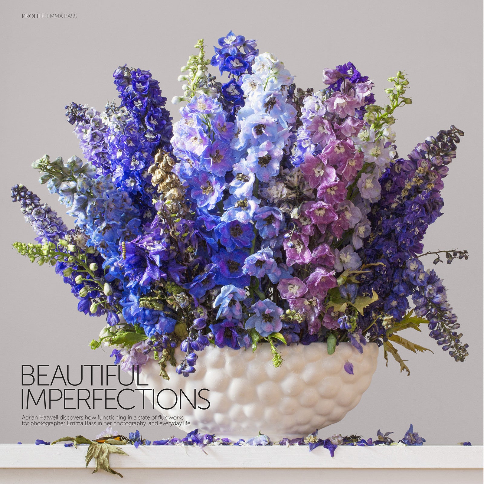 A Profile in D-Photo Magazine