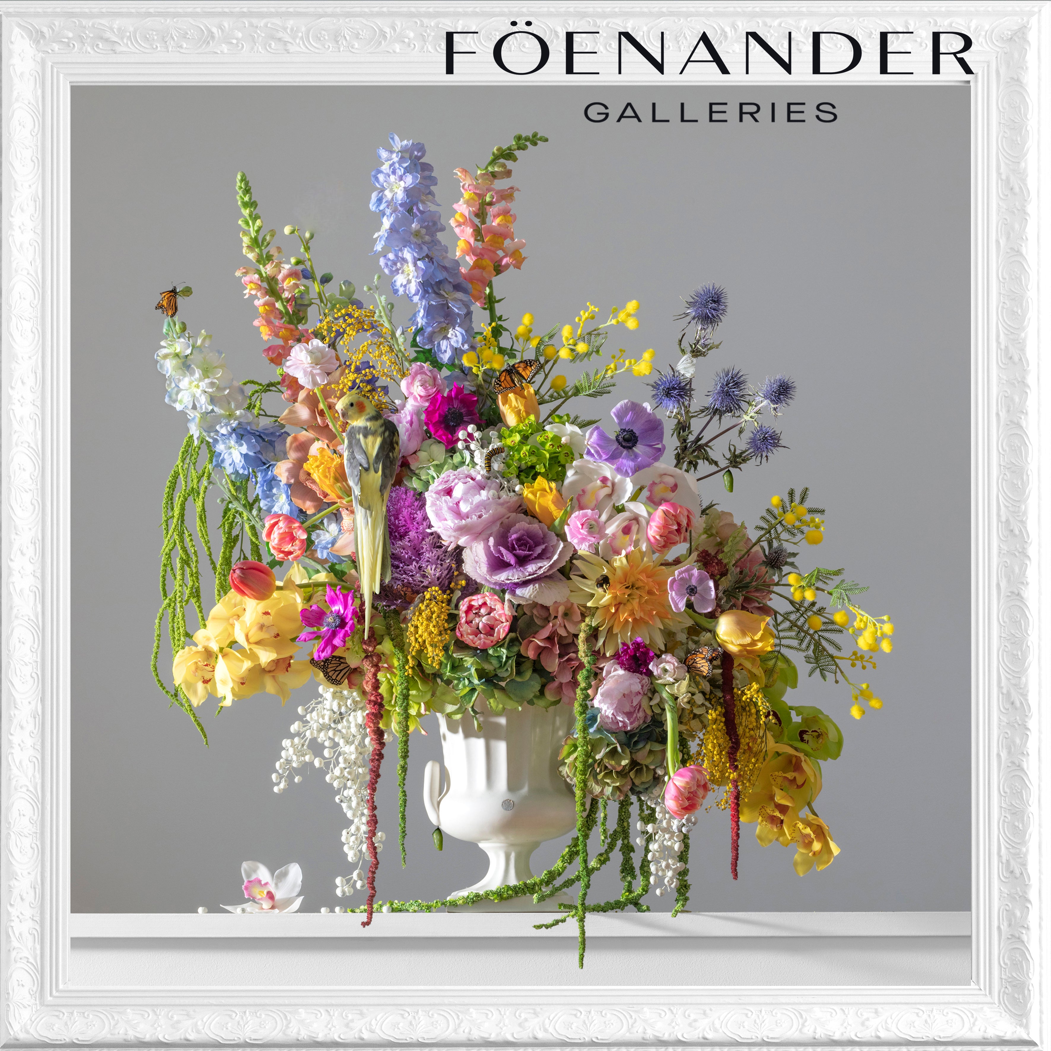 FLORA & Fauna - Foenander Gallery, NZ