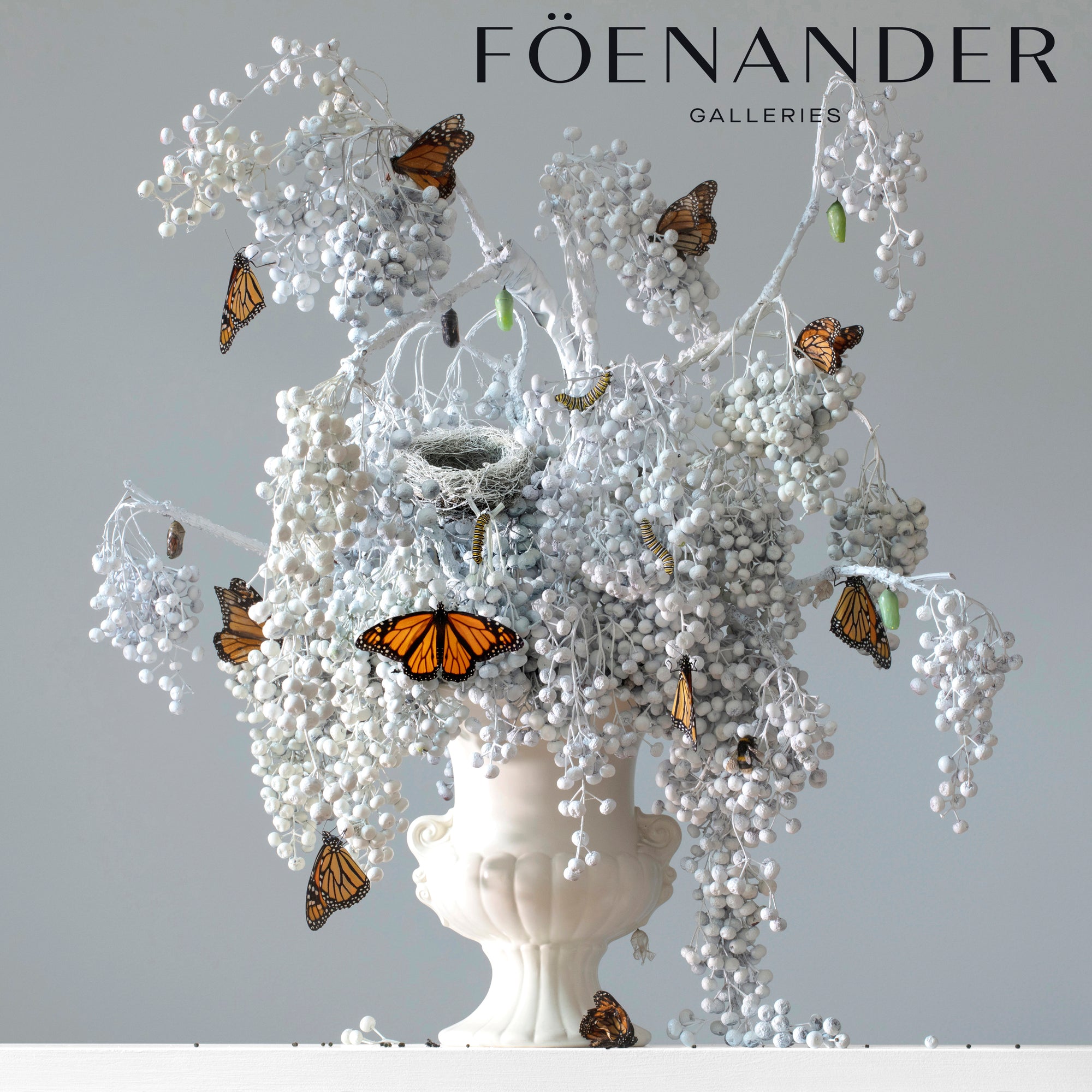 Flora & Fauna - Foenander Gallery, NZ