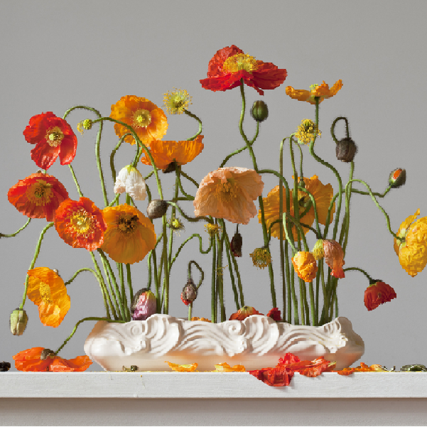 Imperfect II - Black Asterisk