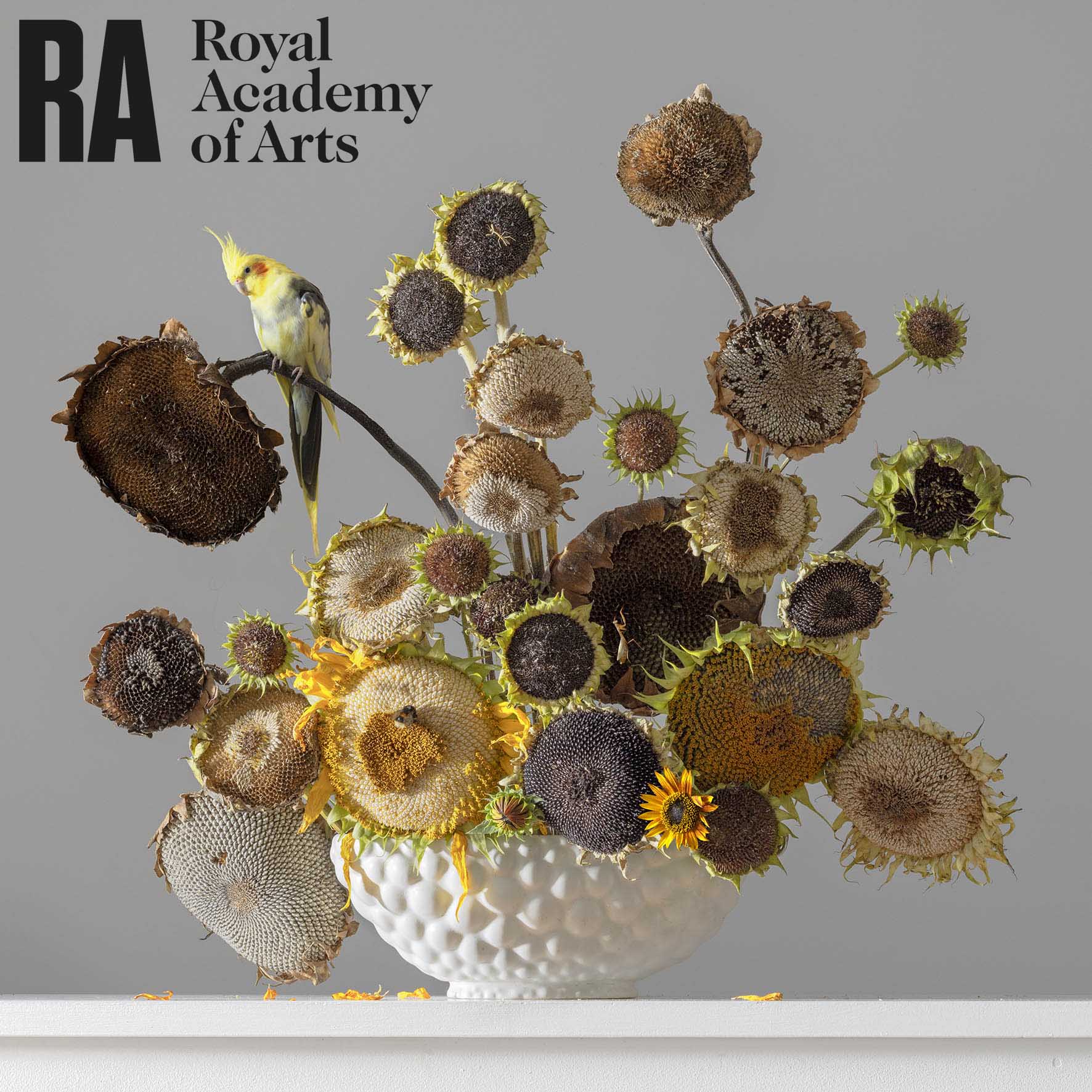 Royal Academy Summer Exhibition 2022 !