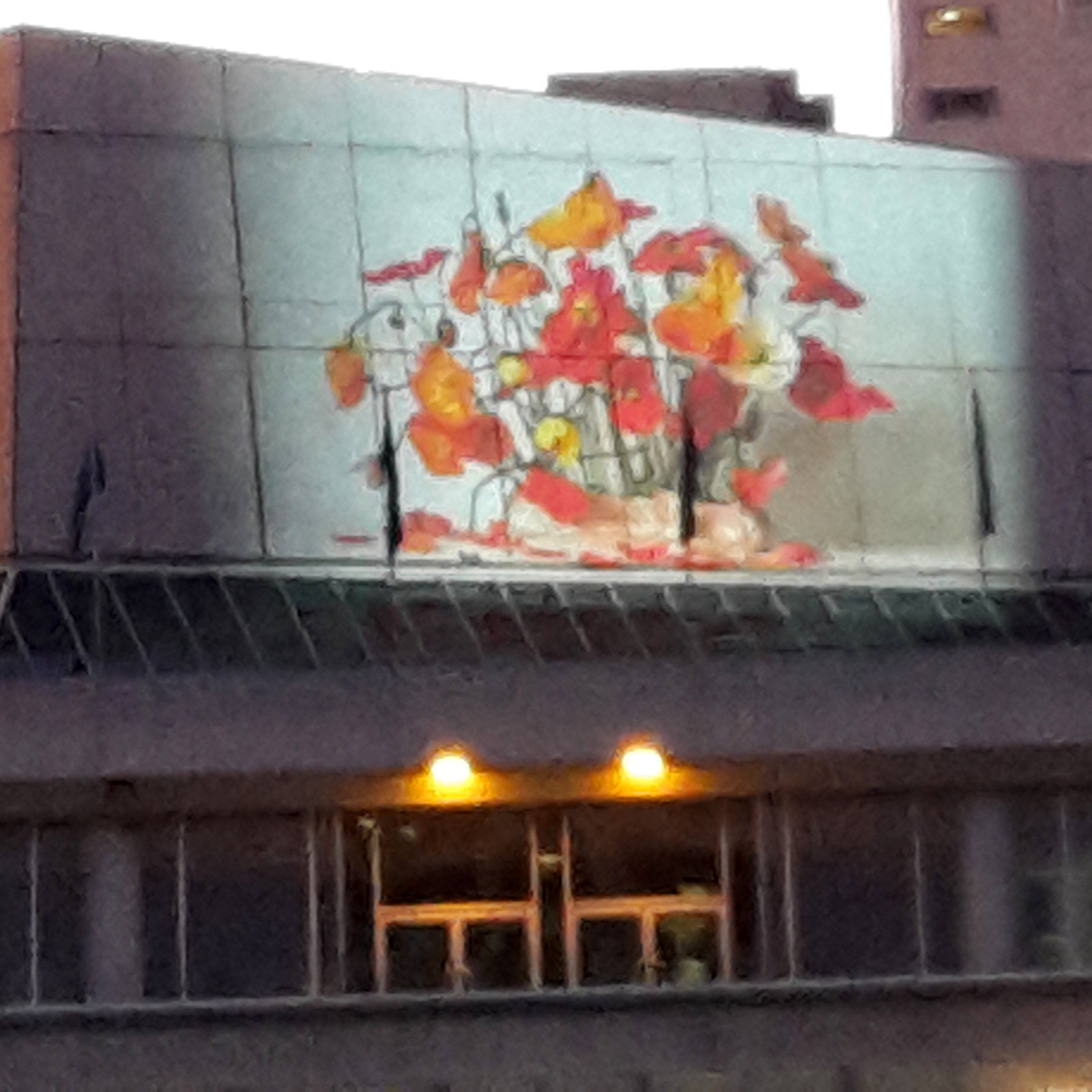 FIRST PUBLIC ARTWORK – “Timelapse Poppies” in Aotea Square
