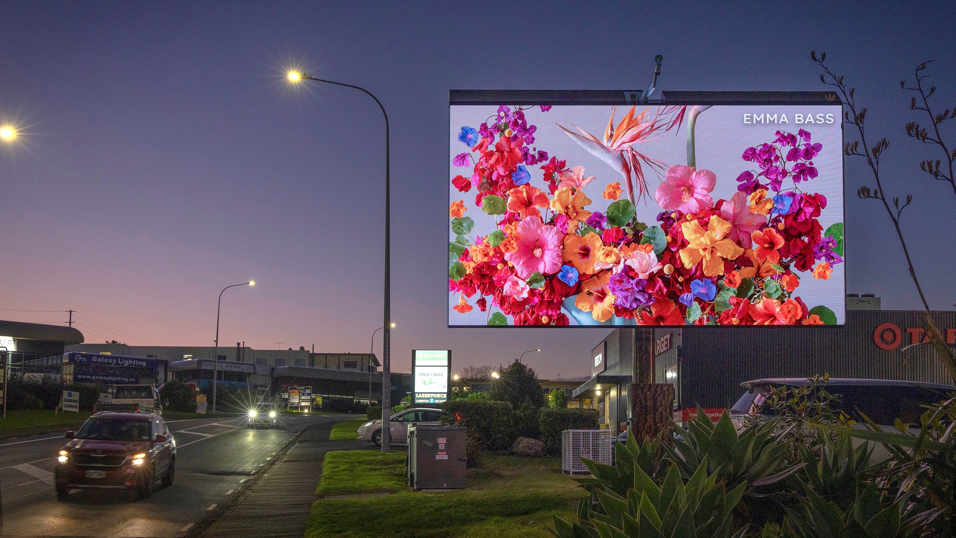 A Real Lover (framed small)