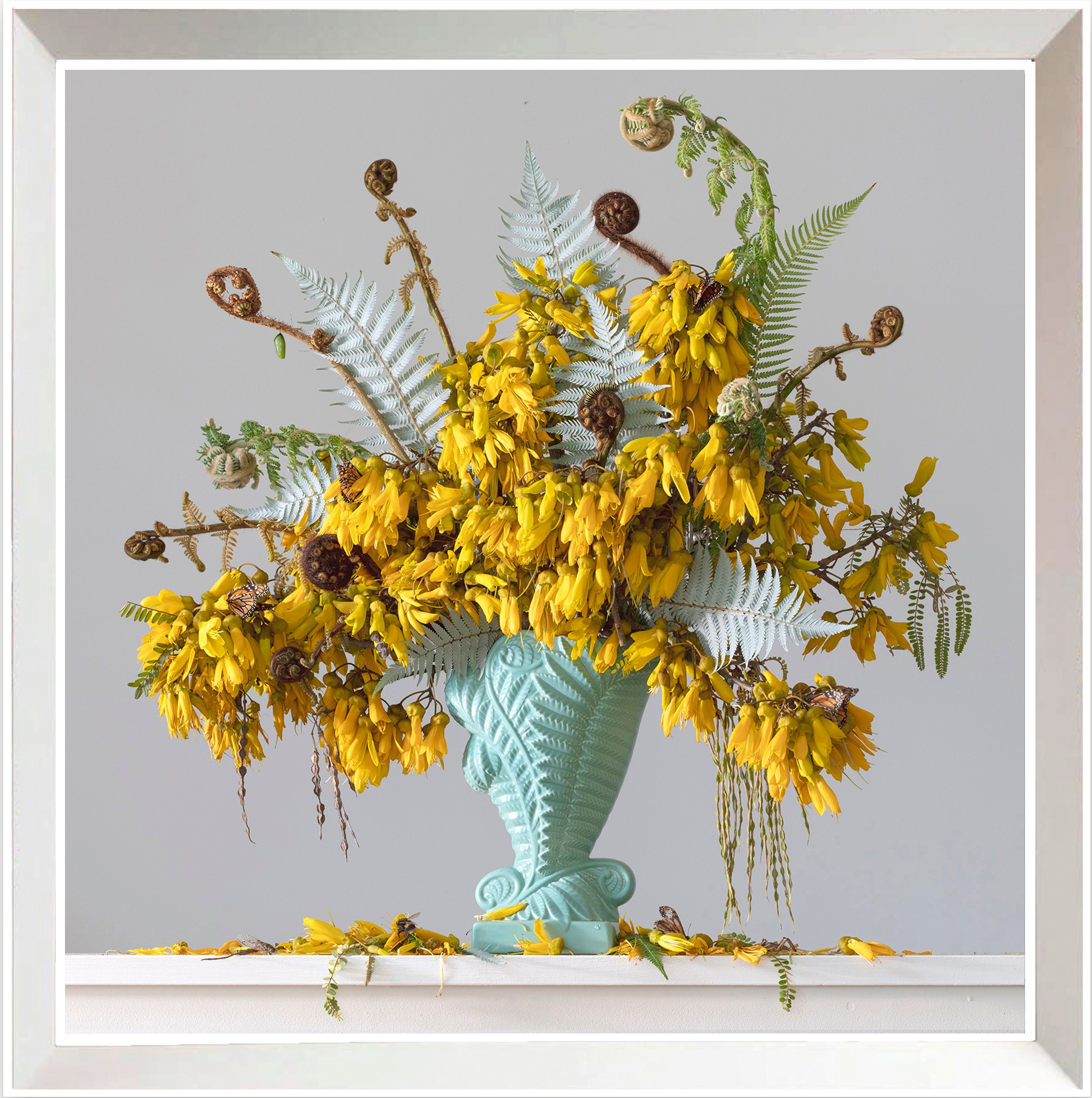 Love Unfurling (Aroha) - Framed