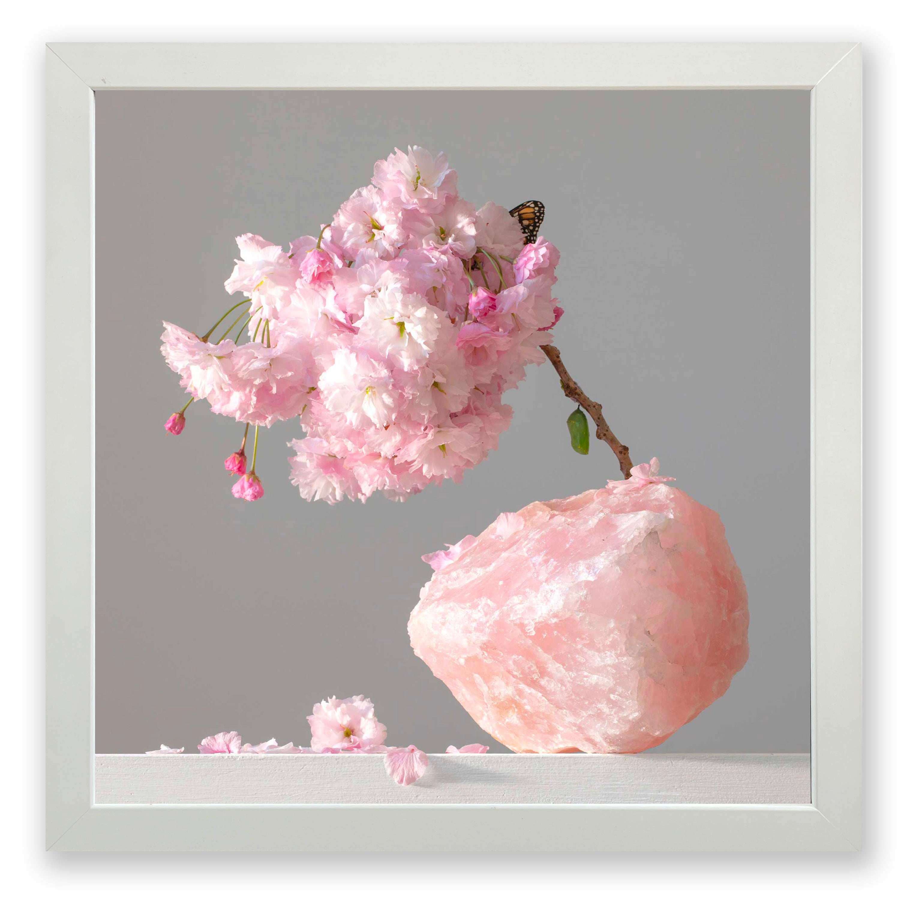 Pink Quartz (Madagascar) Cherry Blossom (framed)