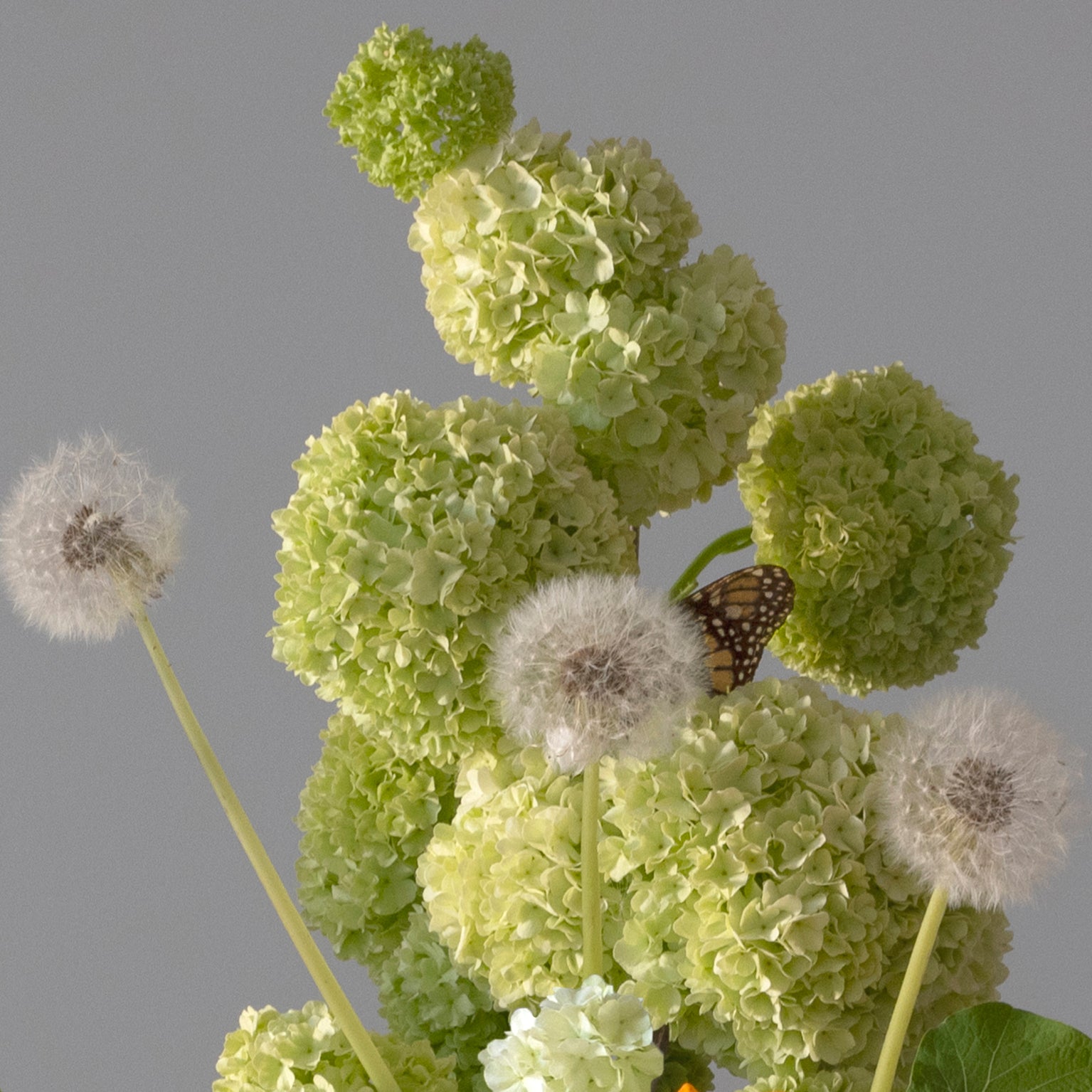 This Is The Day - a special edition