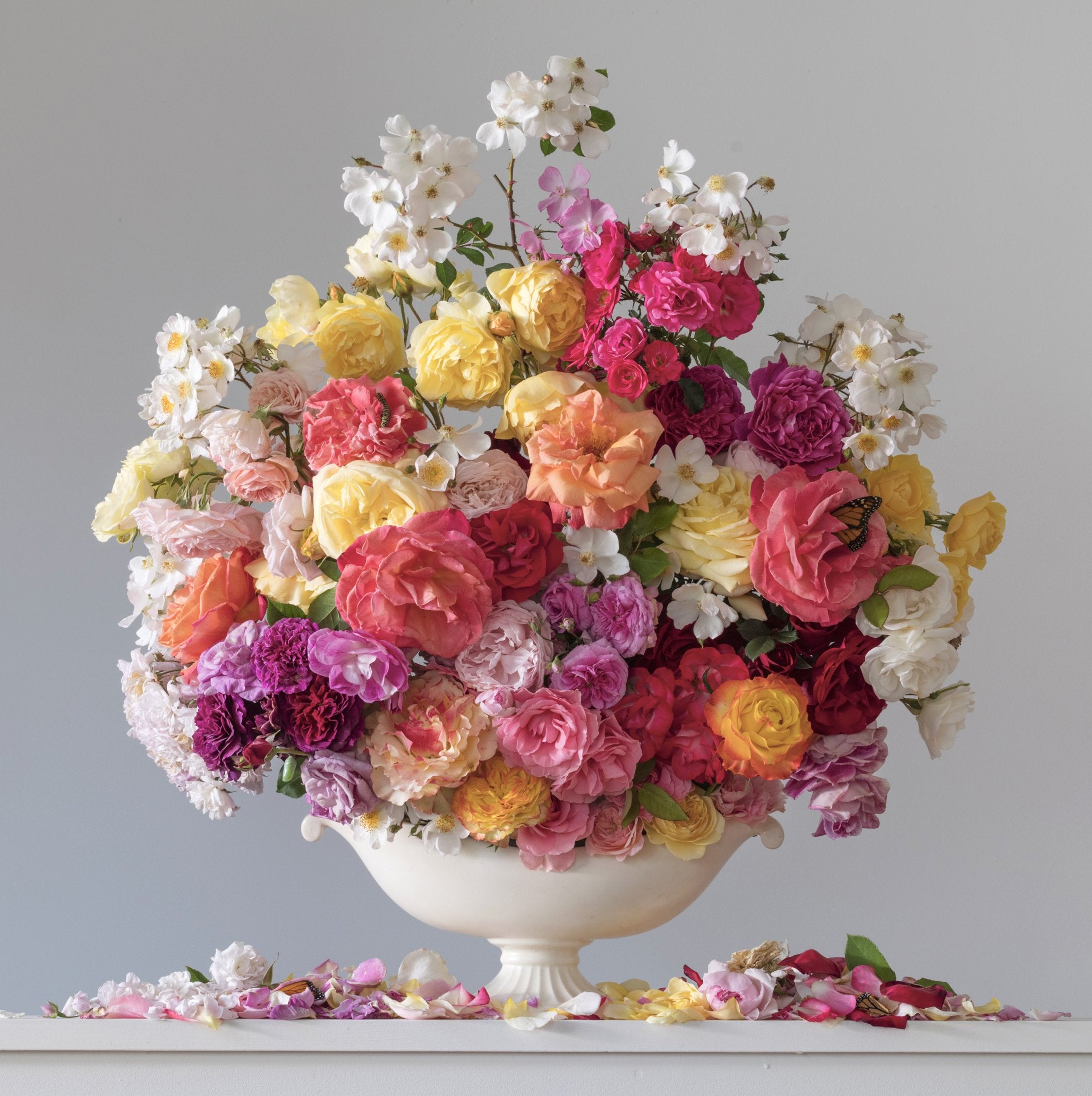 Bed of Roses (Framed)