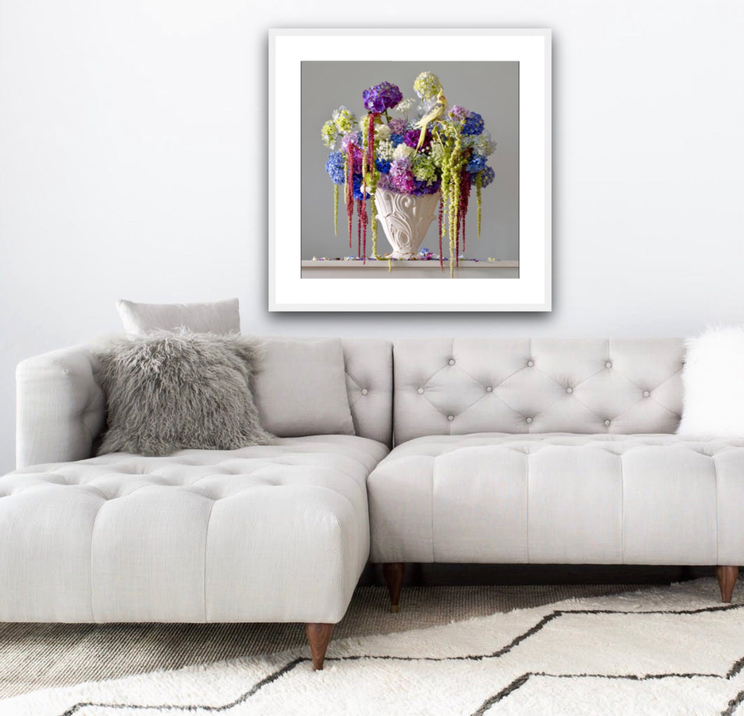 Petal Cotillion (Framed)