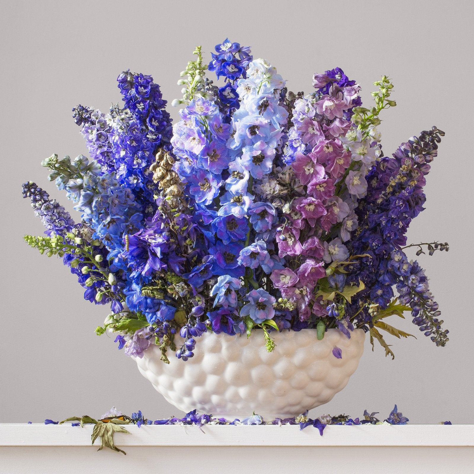 Delphiniums 8.22am (Unframed)