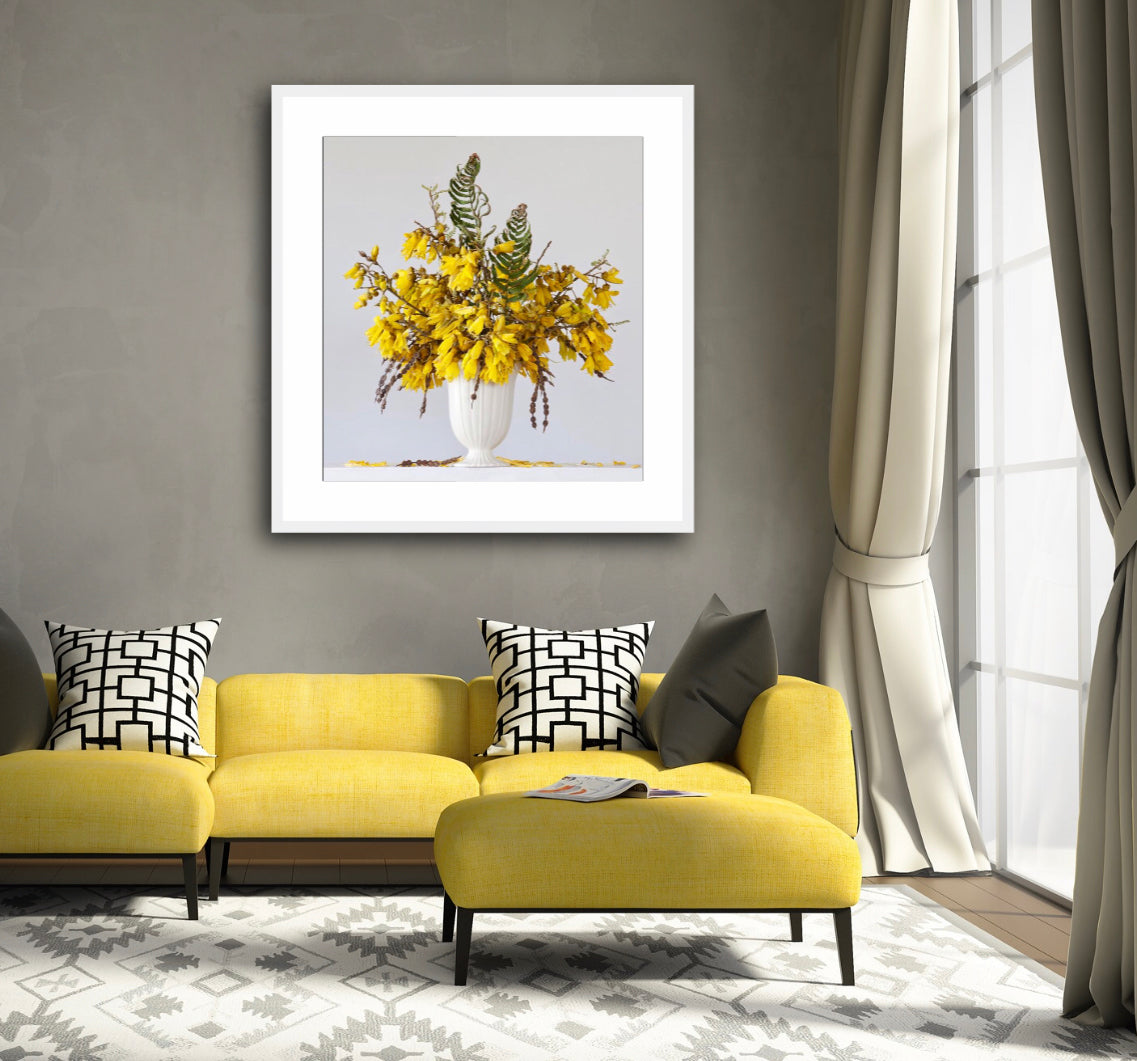 Kowhai & Fern 3.50pm