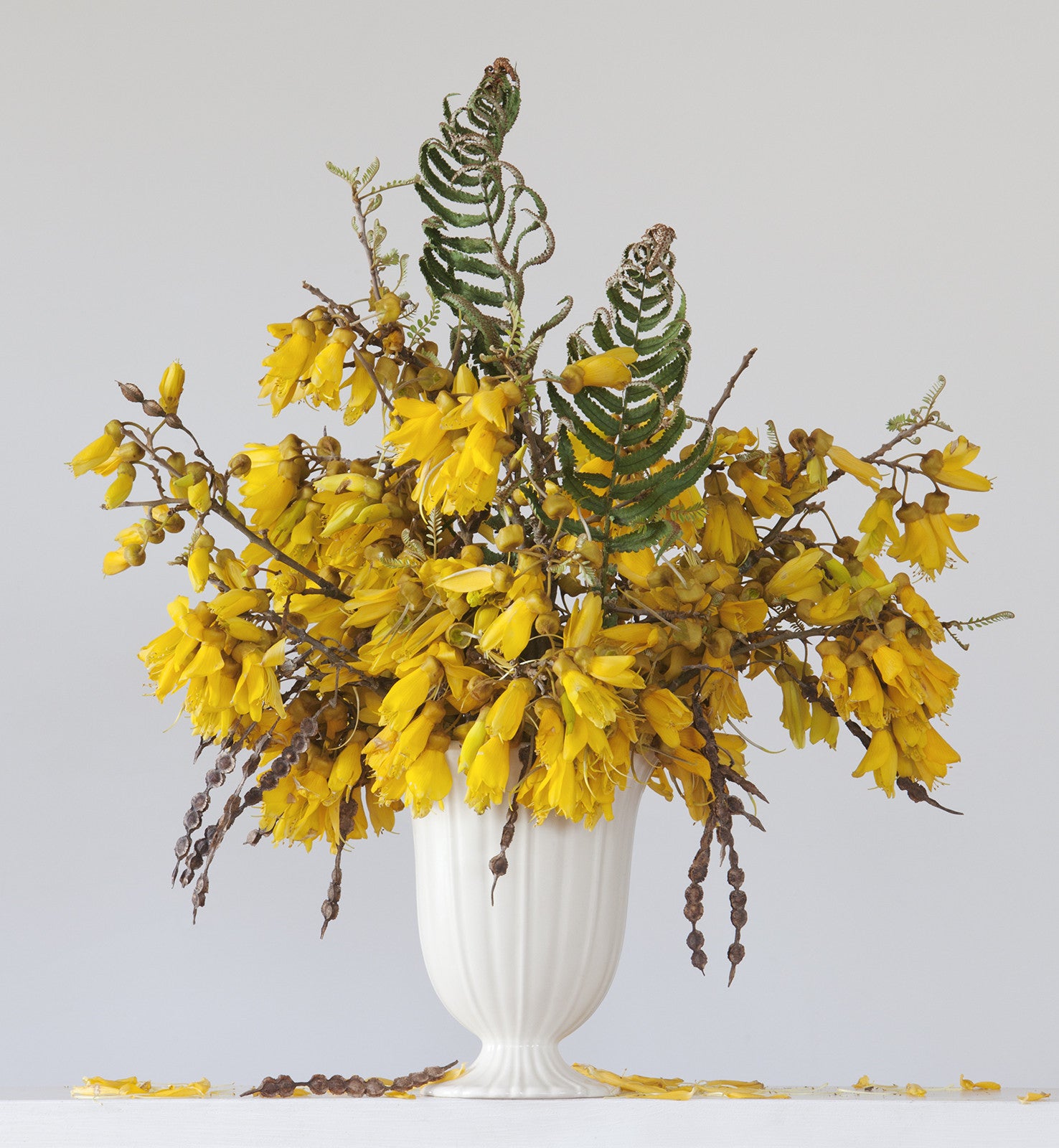 Kowhai & Fern 3.50pm