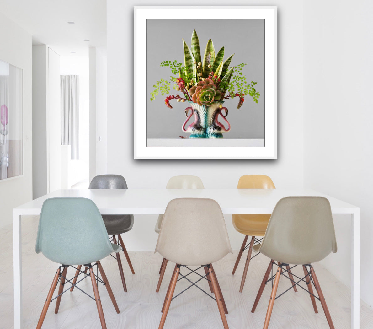 Mother In Law's Tongue, Succulent & Fern 4.22pm