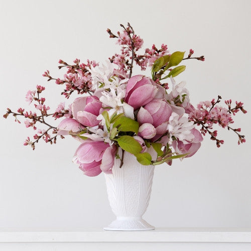 Magnolia & Blossom 11.19am