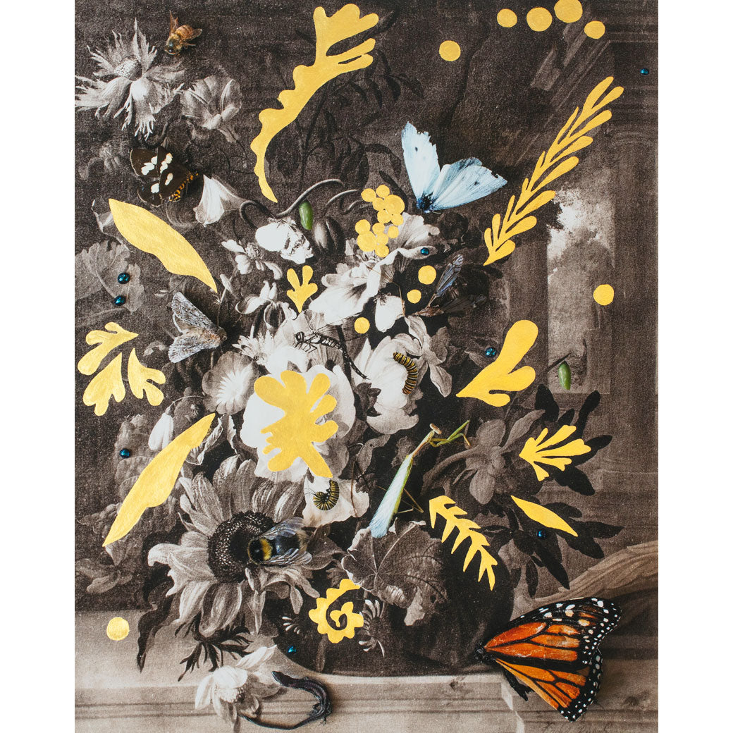 Ode to Rachel Ruysch & Matisse