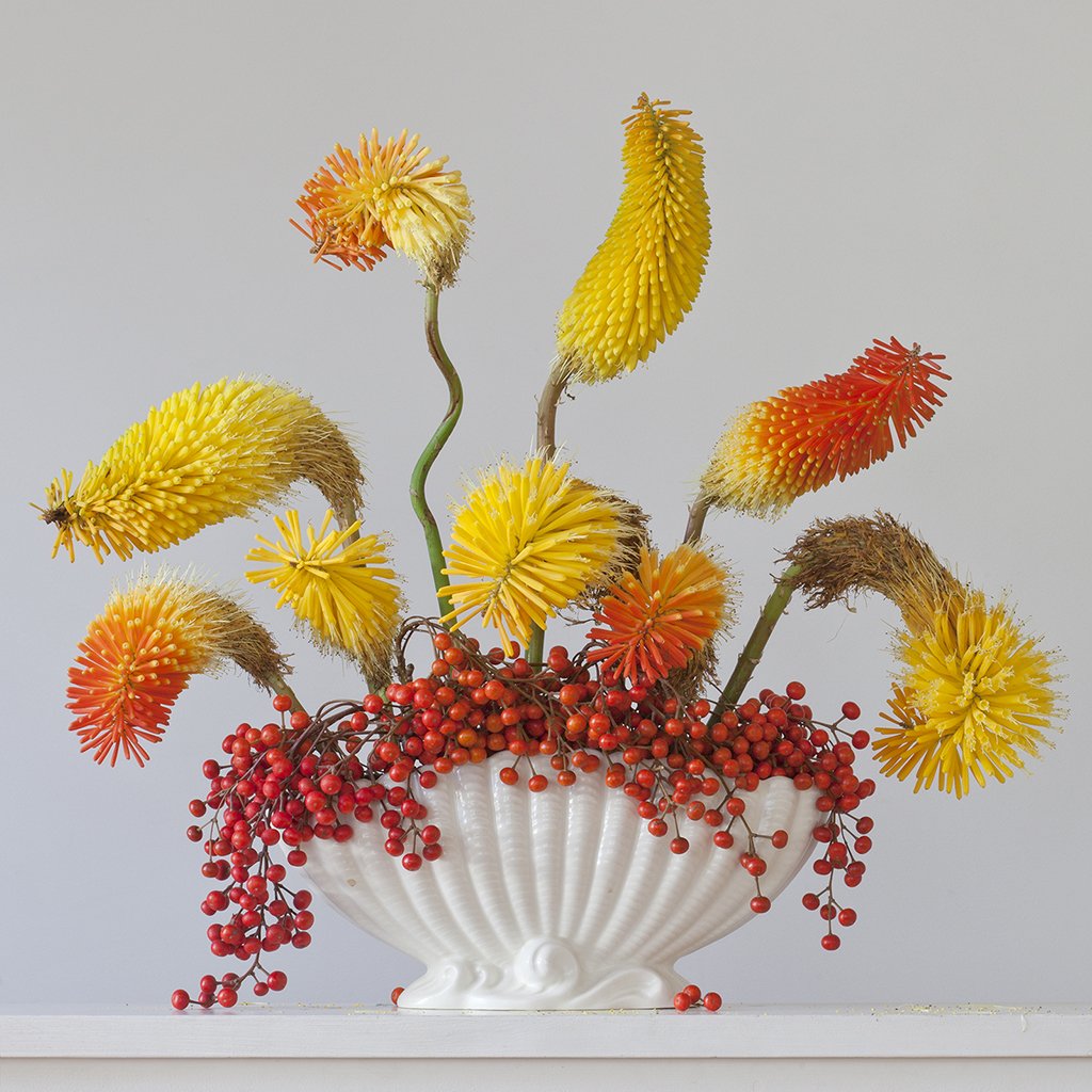 Red Hot Pokers & Berries 5.18pm (Framed Small)