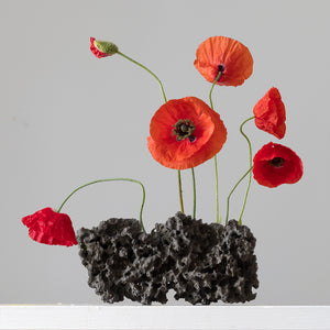 Scoria (NZ) Poppies