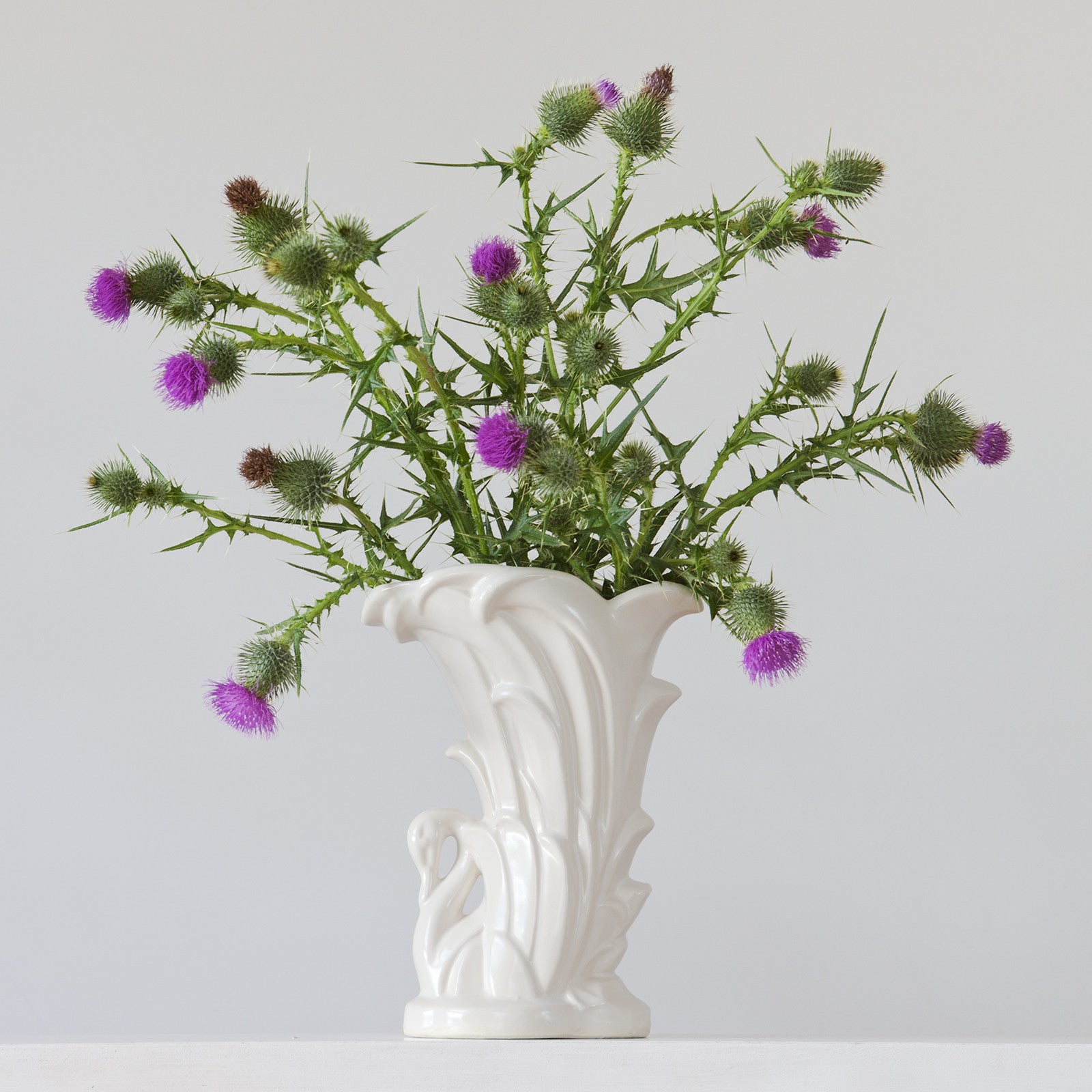 Scotch Thistle 4.02pm