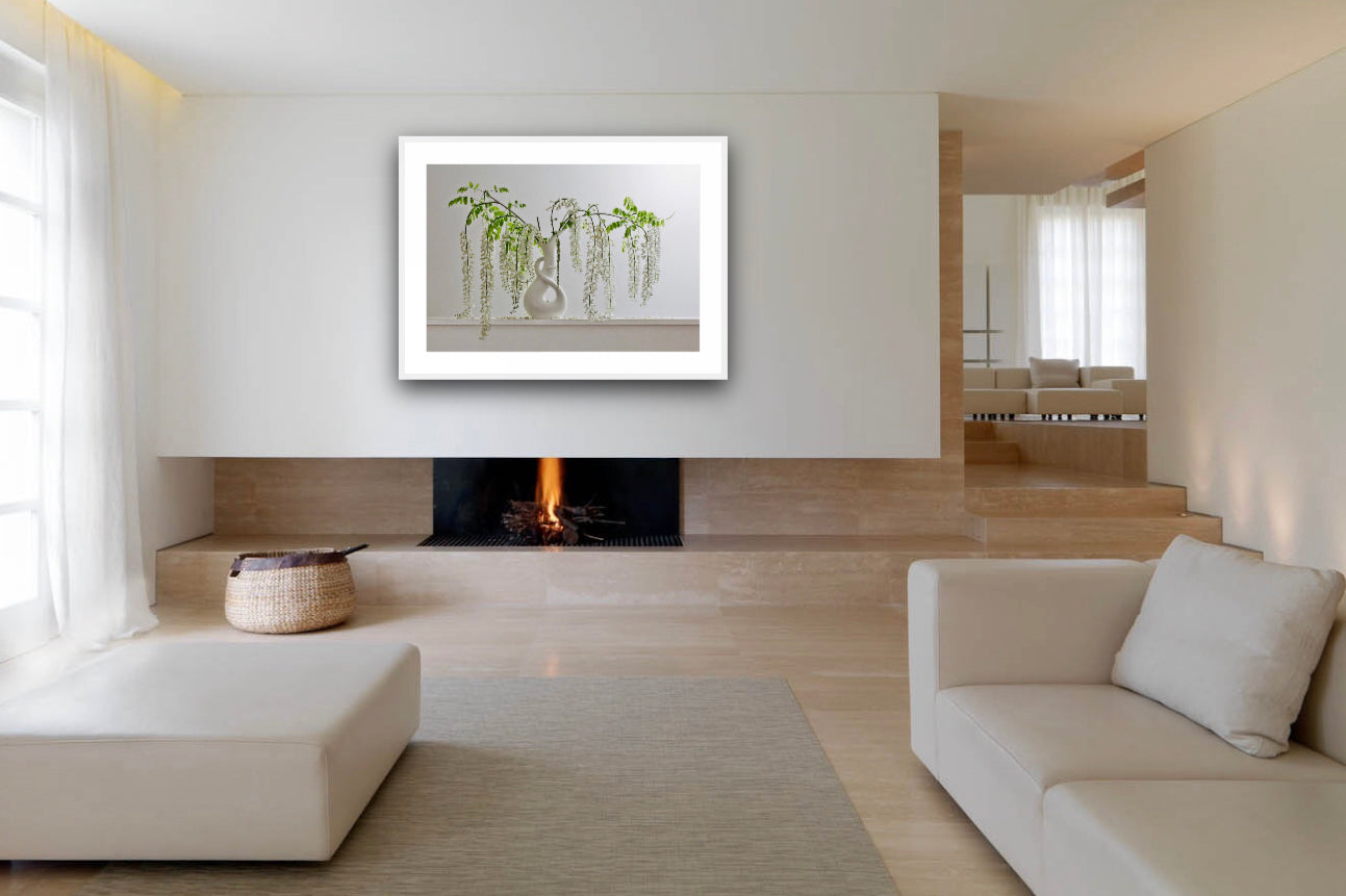 White Wisteria 8.44pm