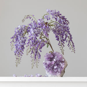 Amethyst (Brazil) Wisteria