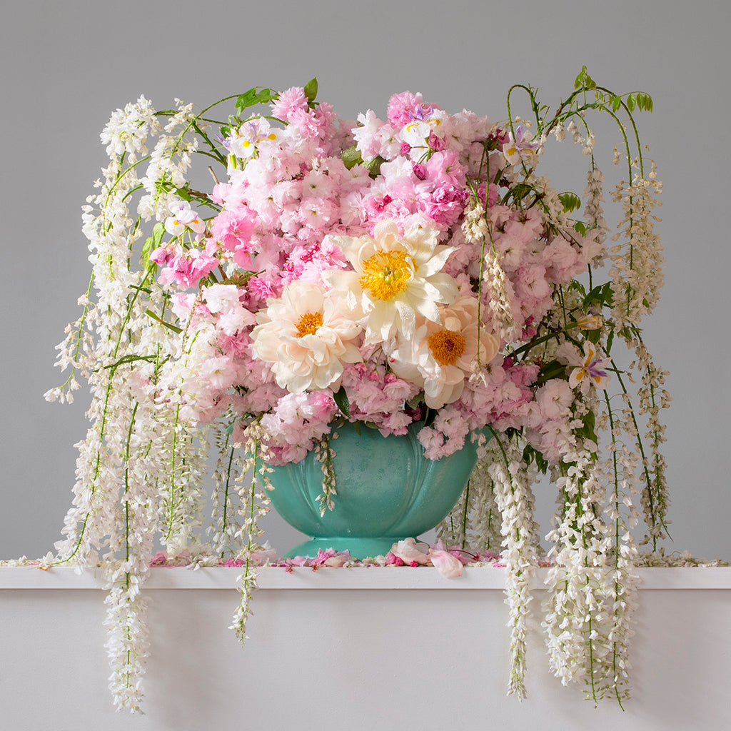 Wisteria, Cherry Blossom, Iris & Peonies 8.11am