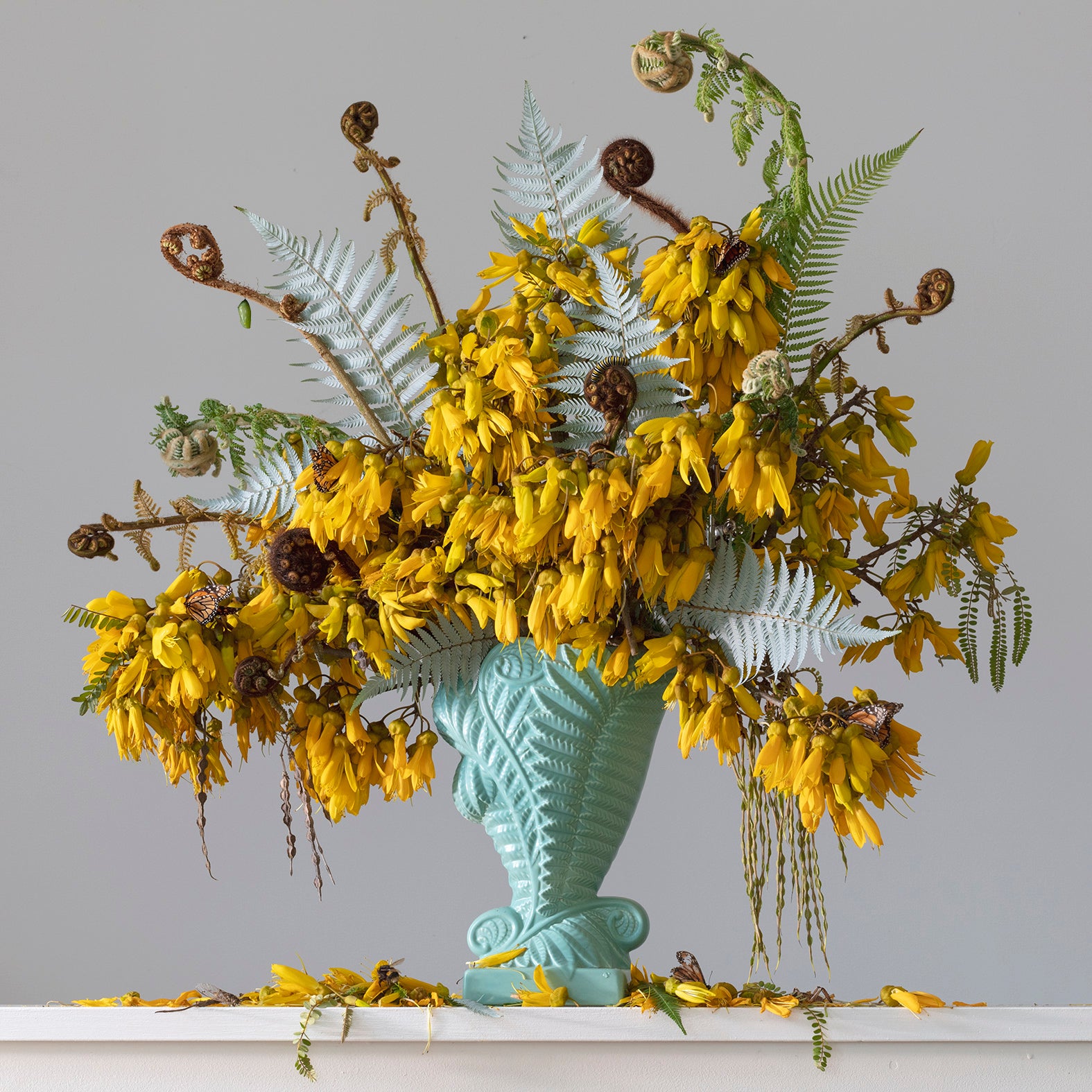 Love Unfurling (Aroha)