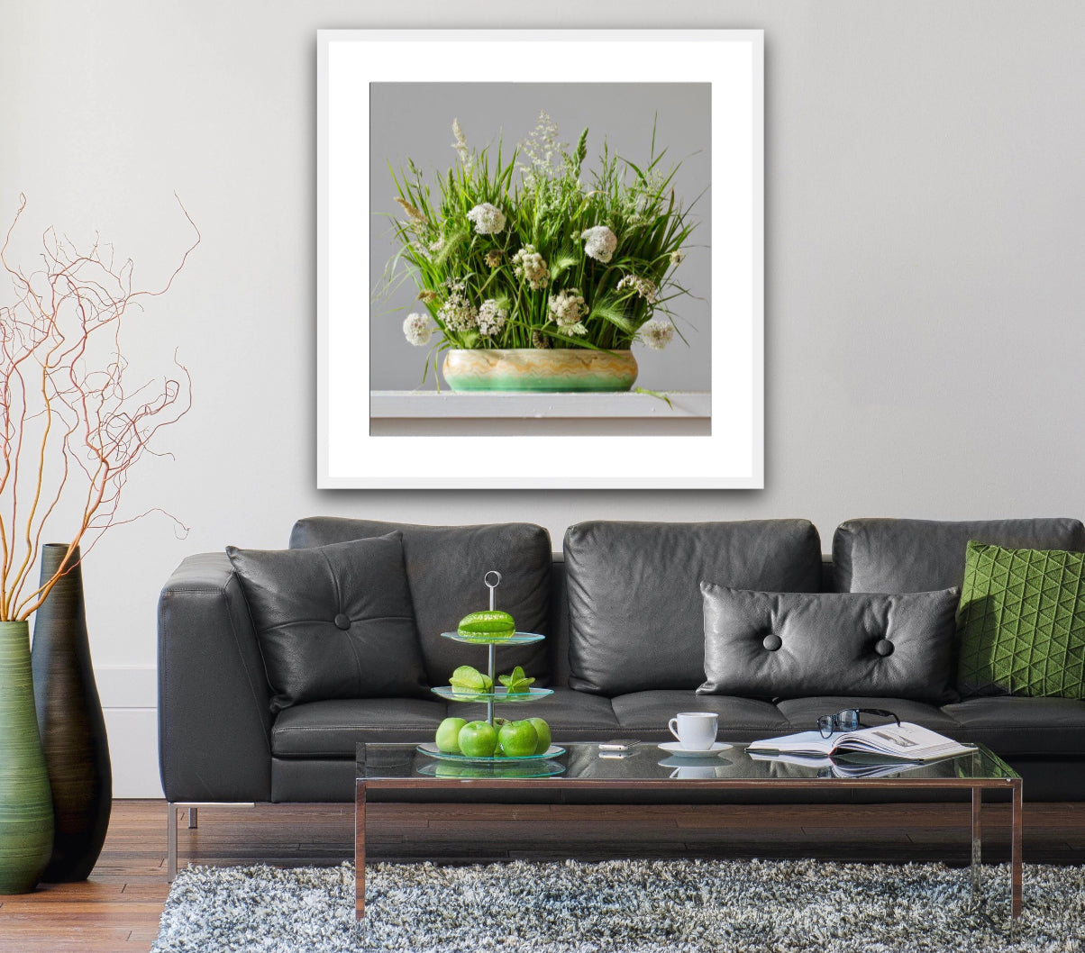 Grasses & Queen Ann's Lace 10.17am