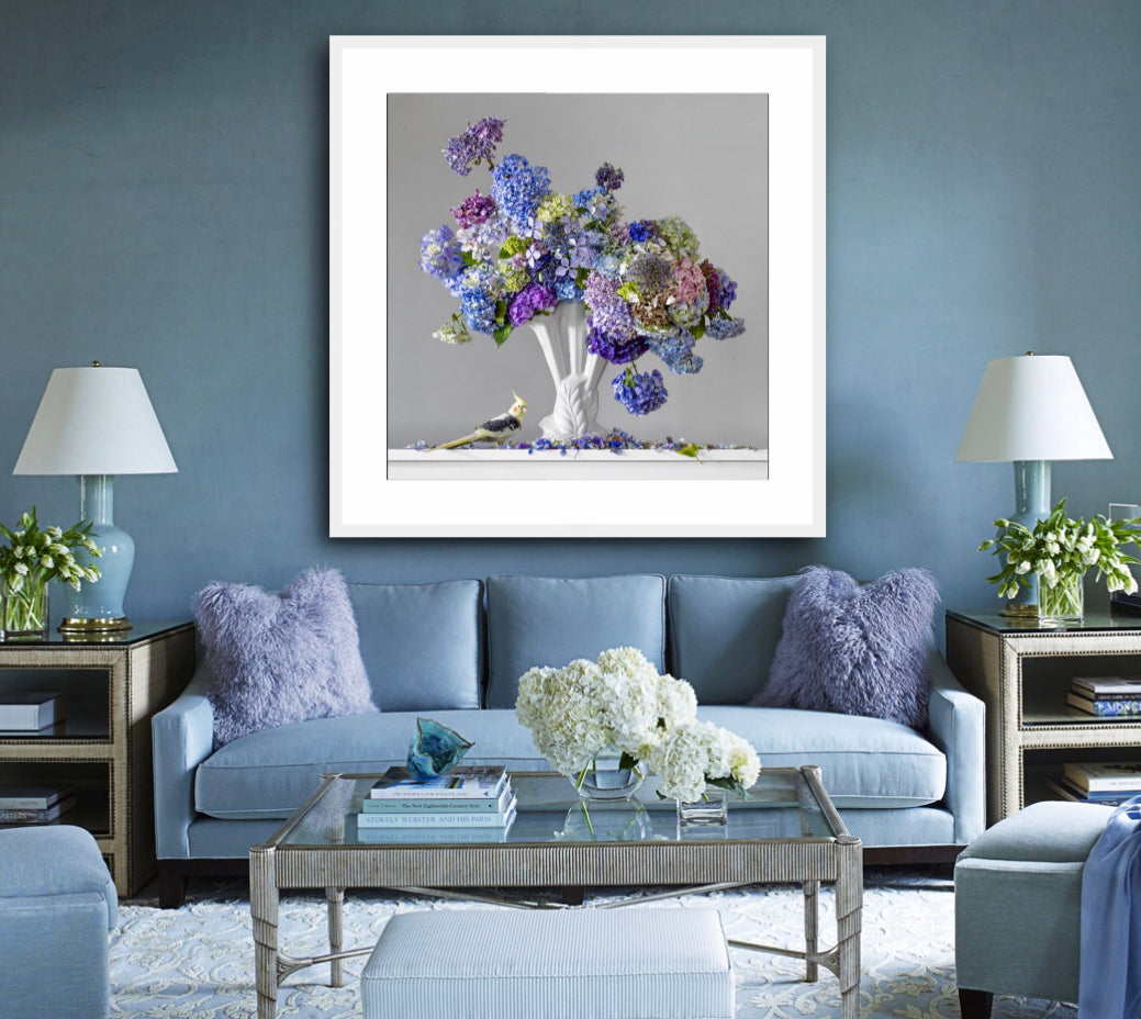 Hydrangeas 3.40pm