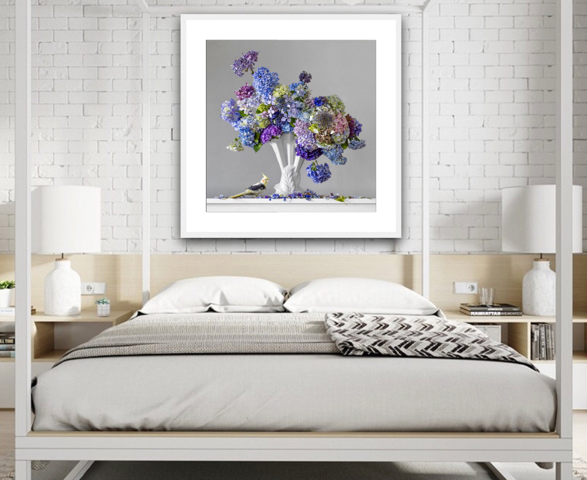 Hydrangeas 3.40pm