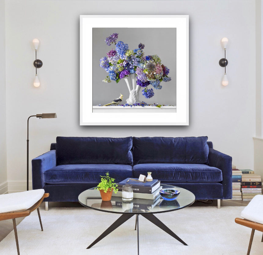 Hydrangeas 3.40pm