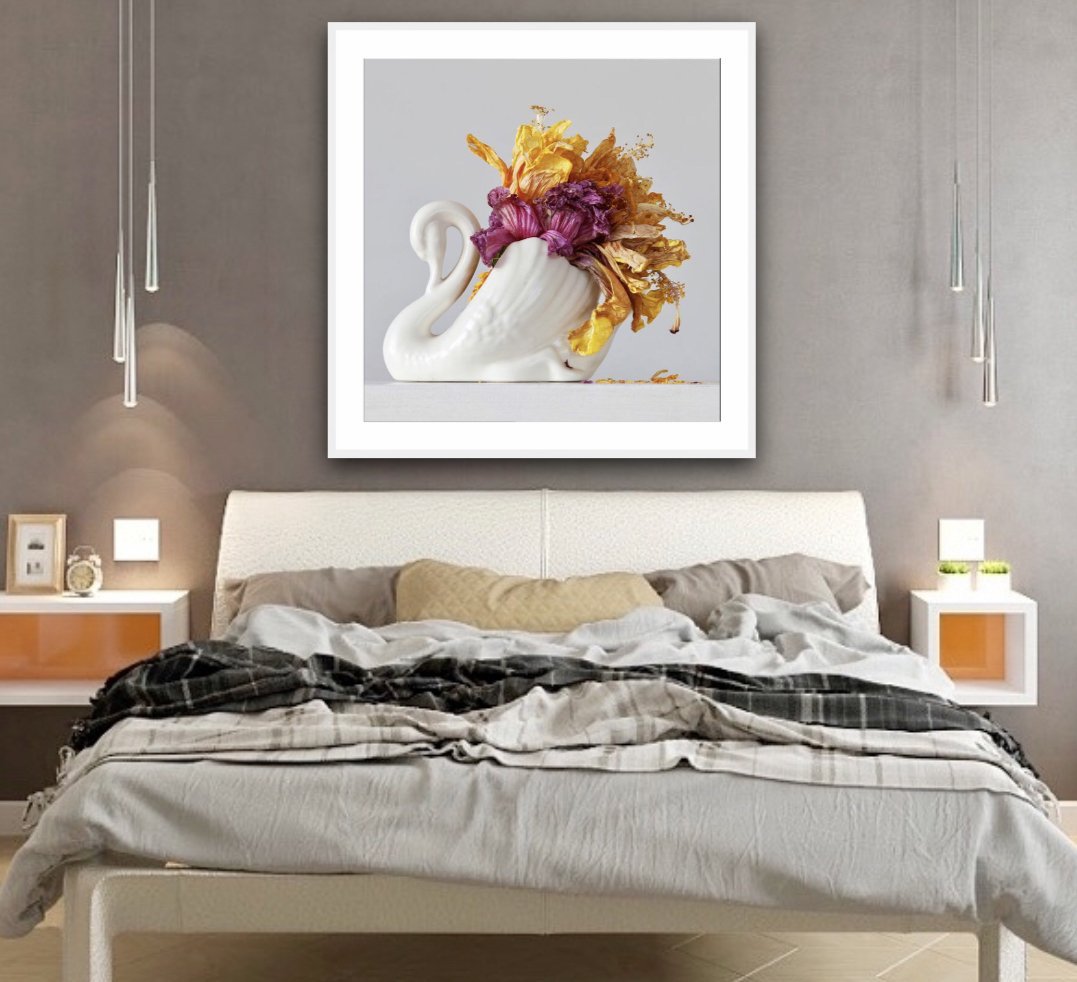 Hibiscus Swan 3.23 pm