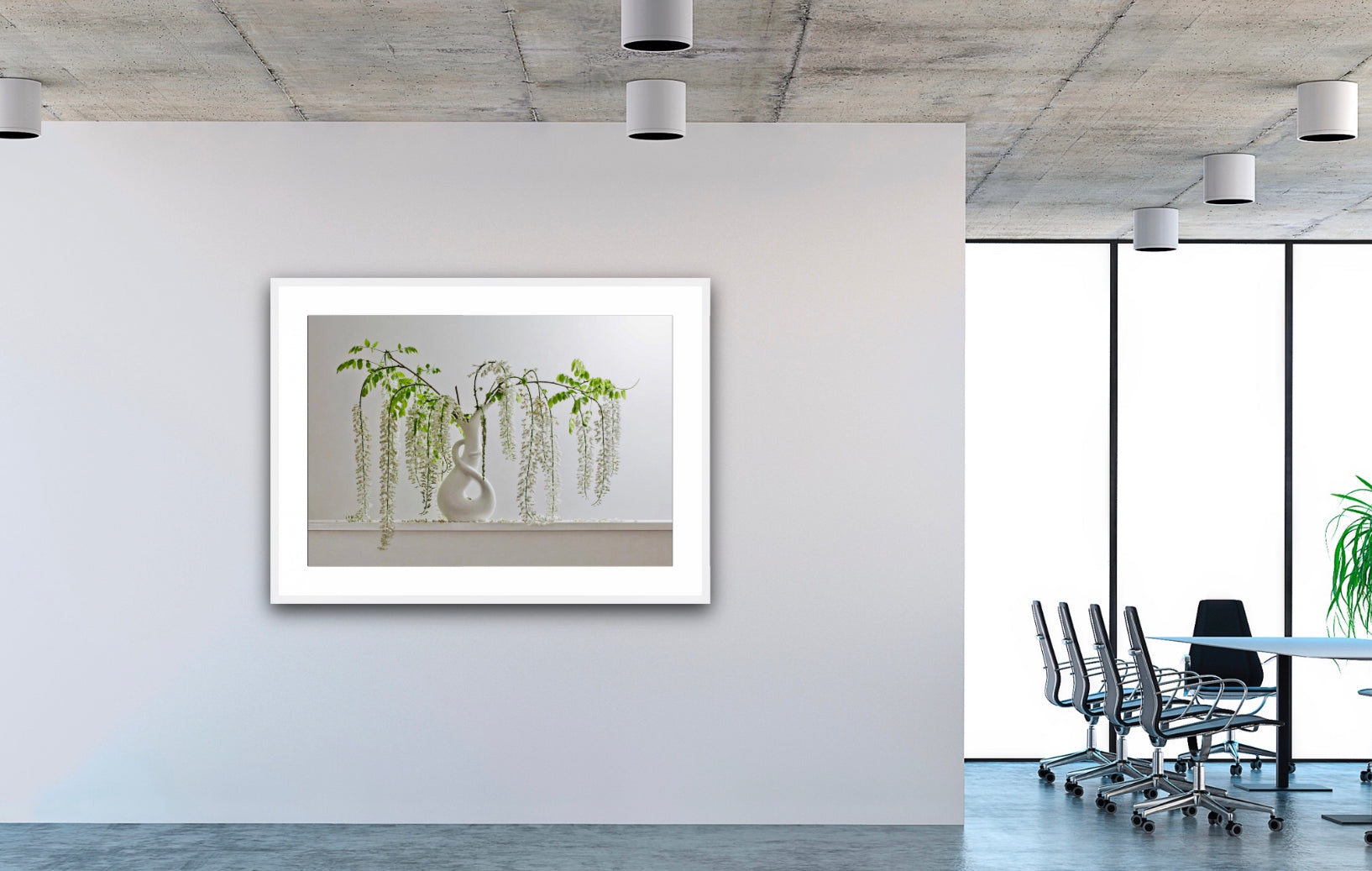 White Wisteria 8.44pm