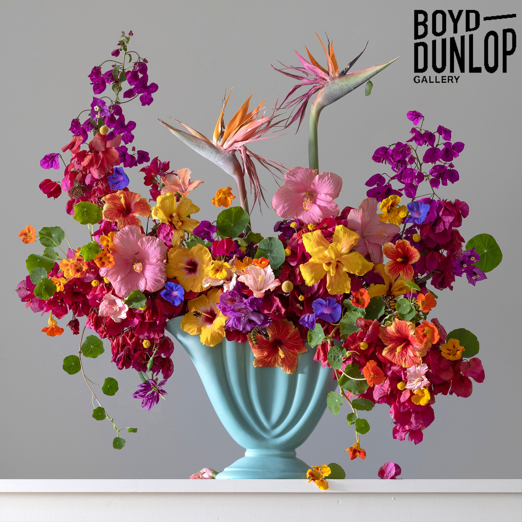 Spirit of Eden - Boyd Dunlop Gallery, NZ