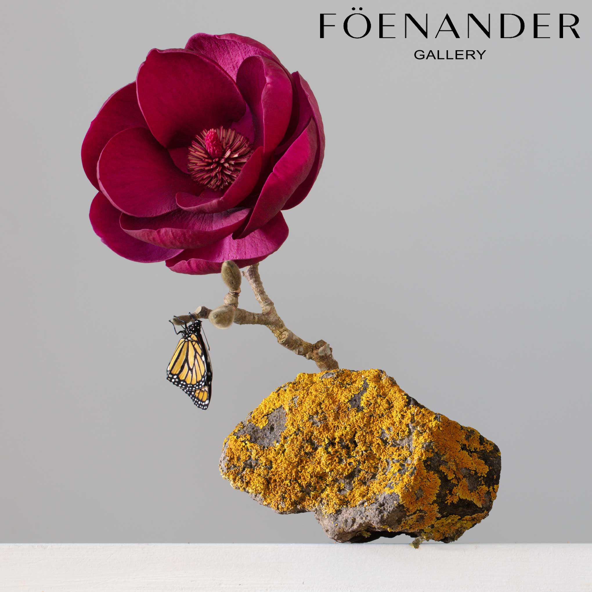 Summer Exhibition - Föenander Gallery, NZ