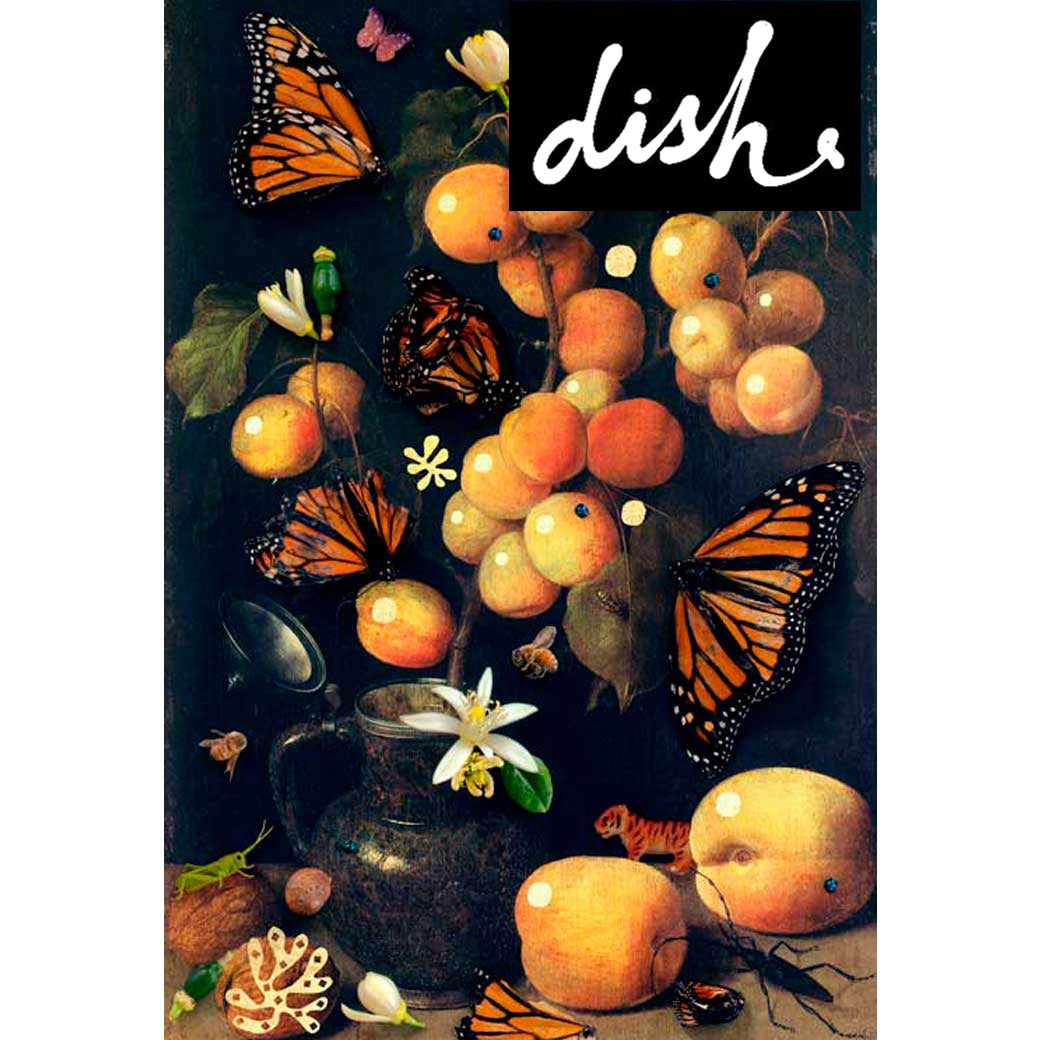 Dish Magazine- artist of the month