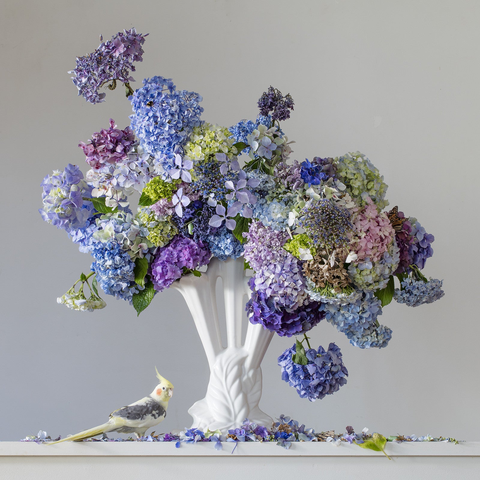 'Not Just Flowers' - The Vivian Gallery, NZ