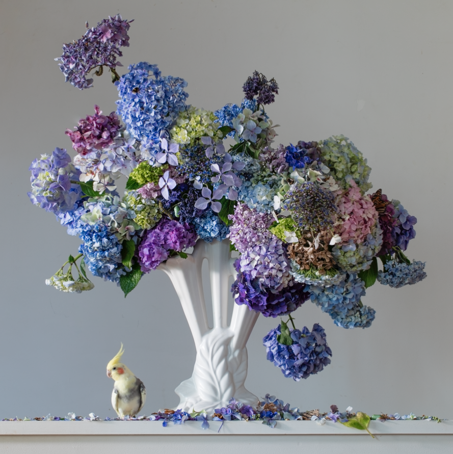 NOT JUST FLOWERS – The Vivian Gallery