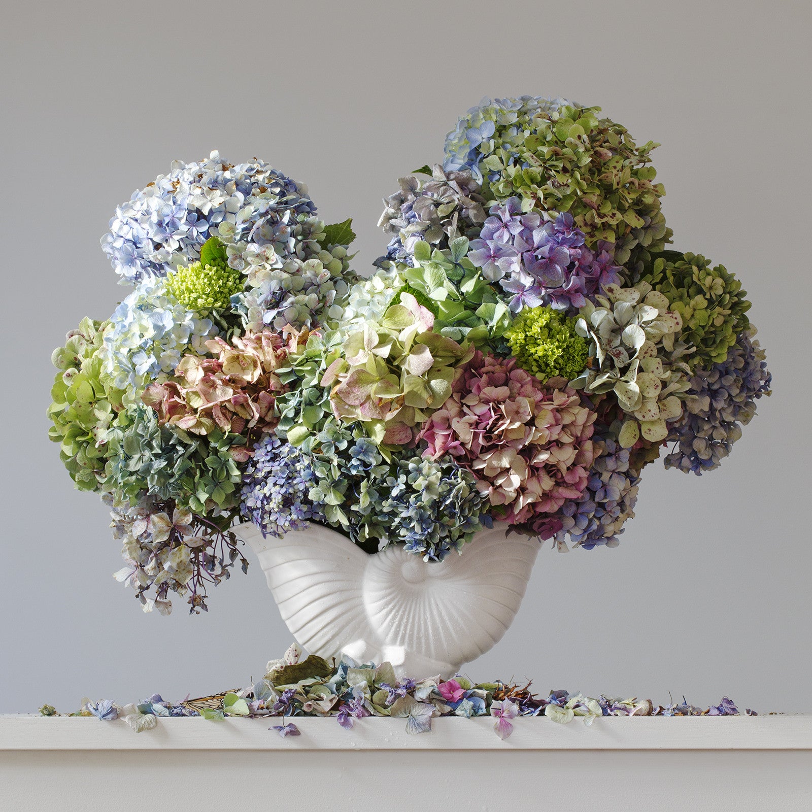 A&P Show – The Vivian Gallery, Matakana