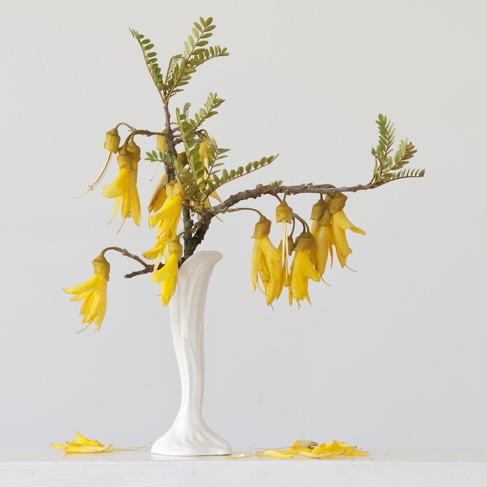 Imperfect – Black Asterisk