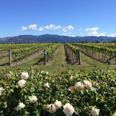 Marlborough Garden Festival 2014