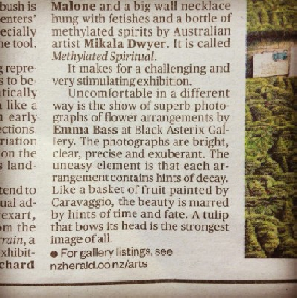 Review of Imperfect by TJ McNamara in NZ Herald