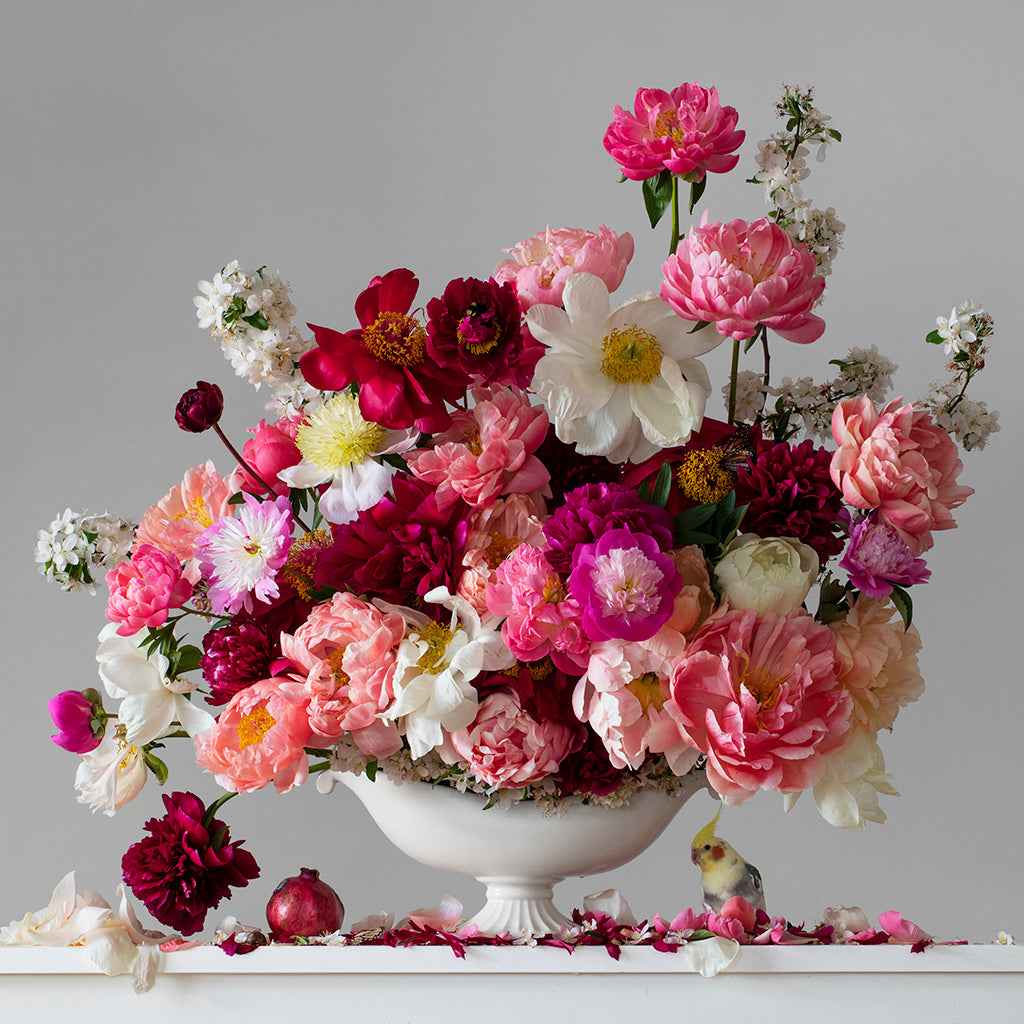 New Imperfect Peonies