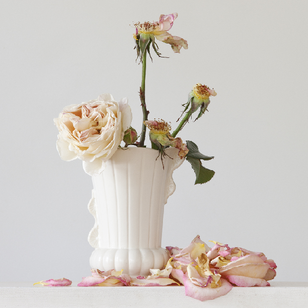 David Lyndon Brown writes about Imperfect