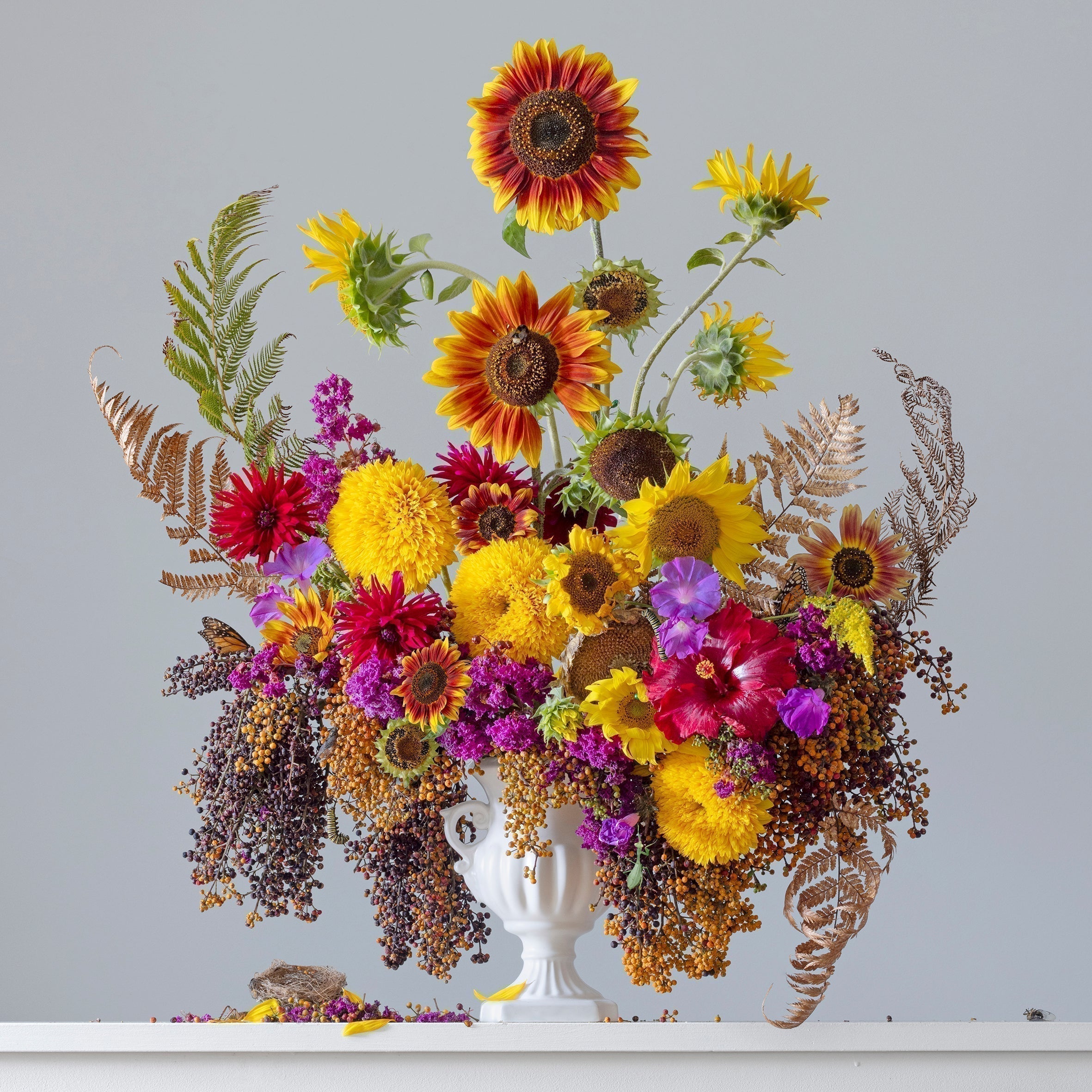 Floratopia - Pop Up Exhibition