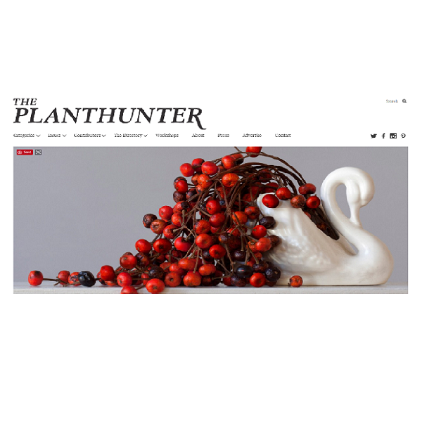 The Planthunter – Imperfection is Perfection