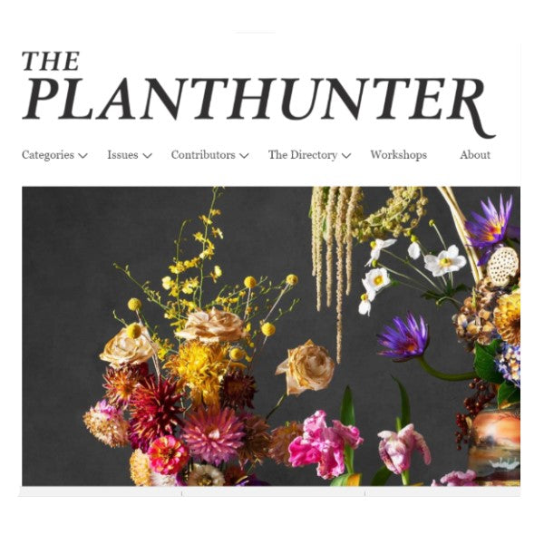 The Planthunter - Embellish