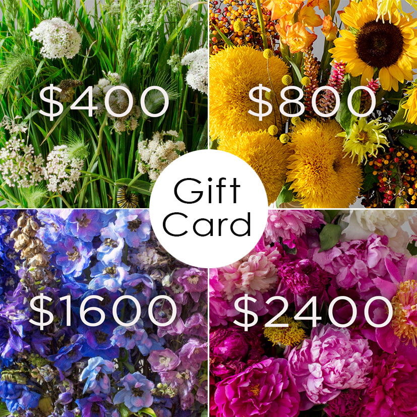 Gift cards now available