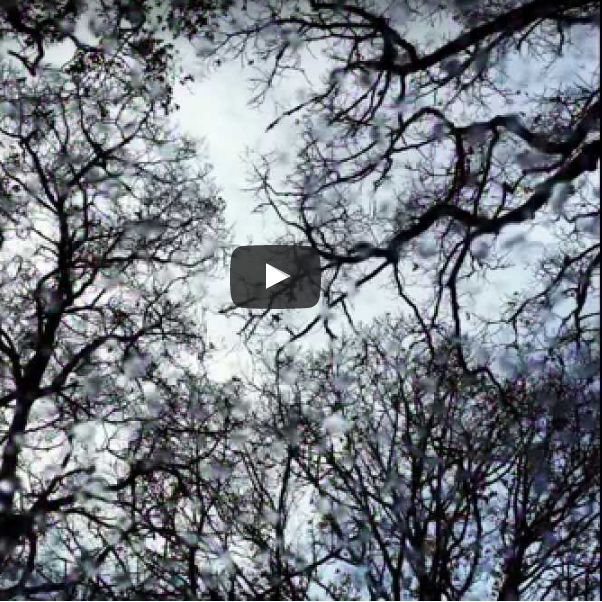 Emma Bass - iPhone Moments