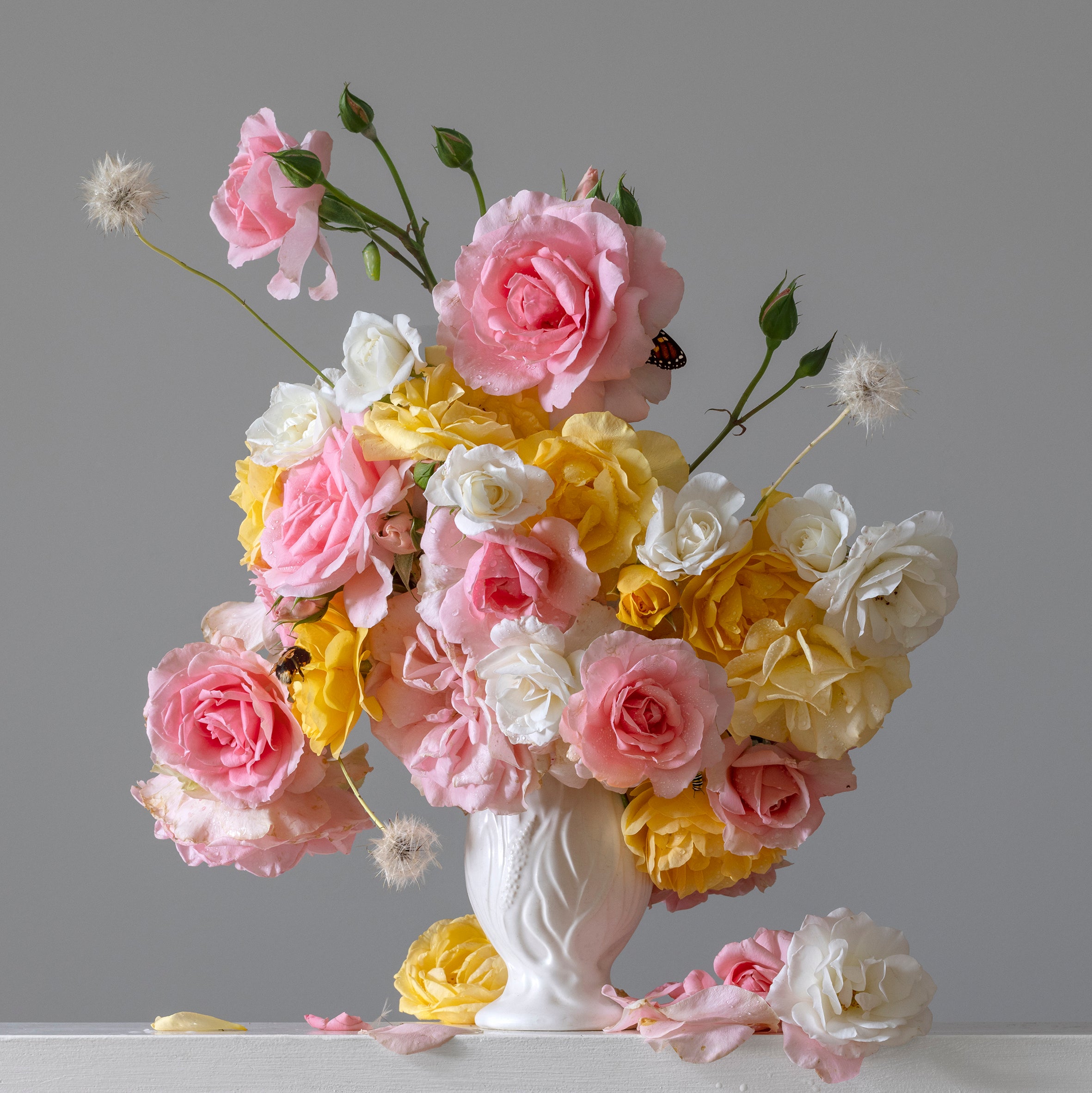 Roses 2023 - Main Image