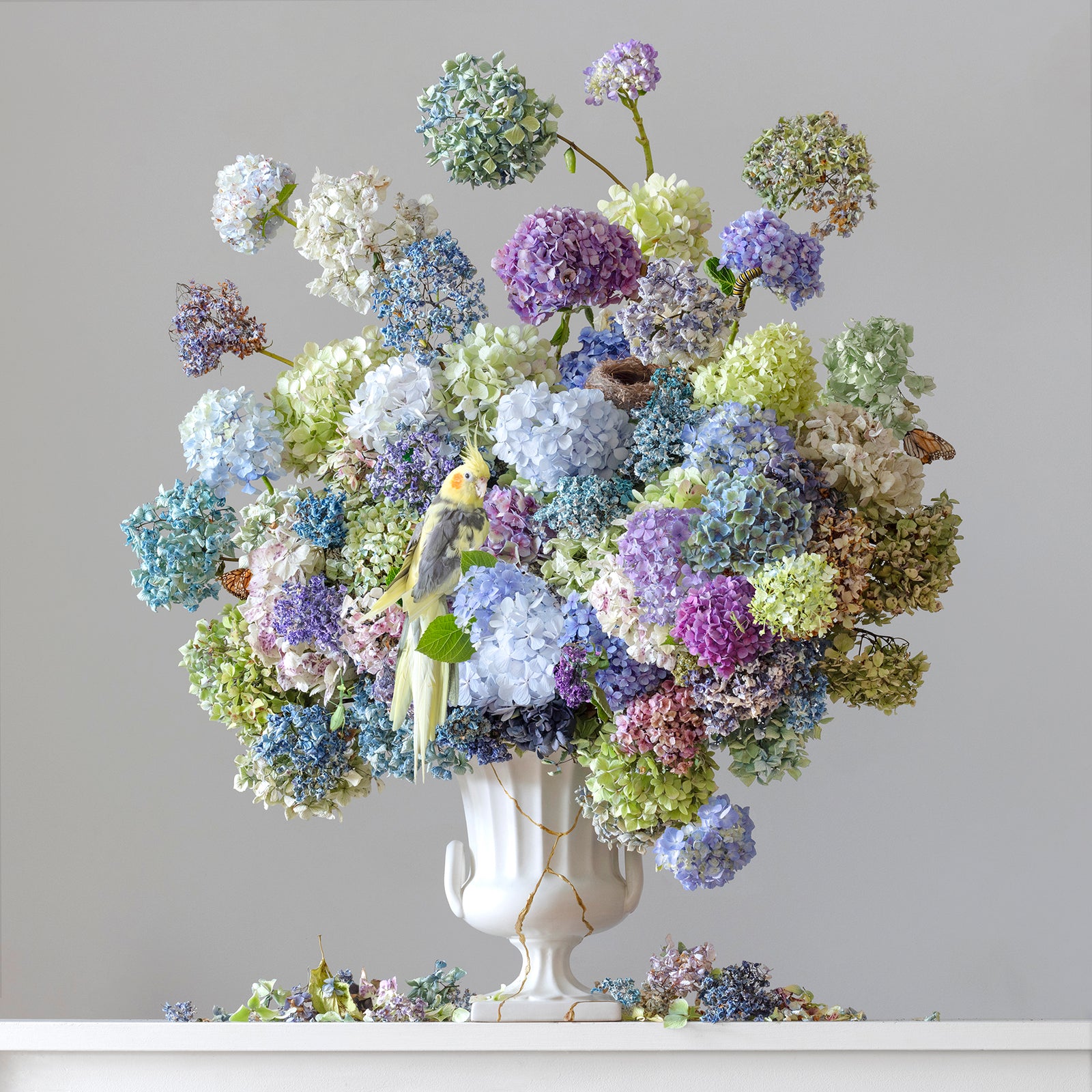 Ever After - special gift edition