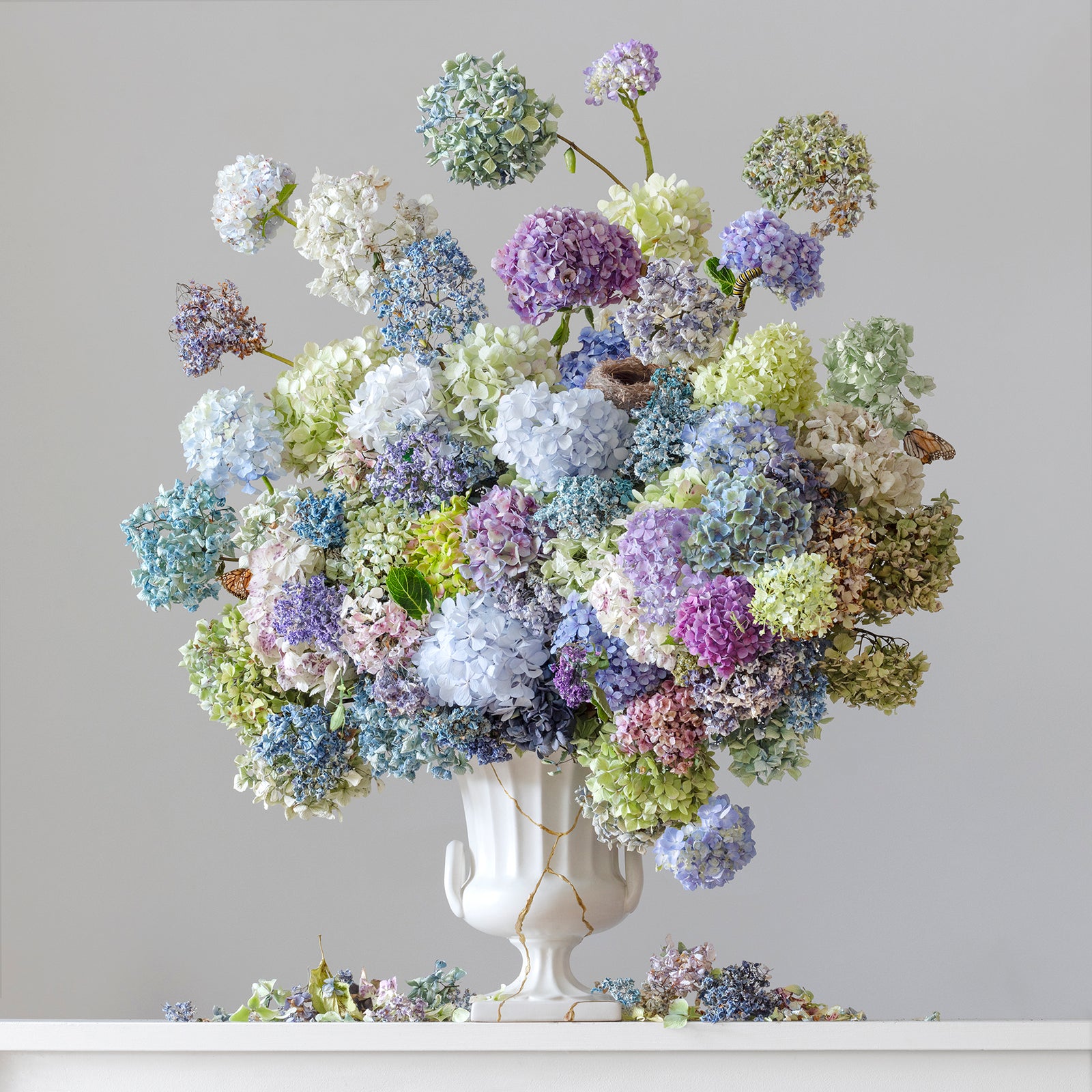 Ever After (without bird)